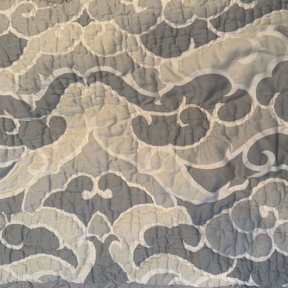 Anthropologie Quilted Pillow sham set with Cloud Design and Queen bed skirt
